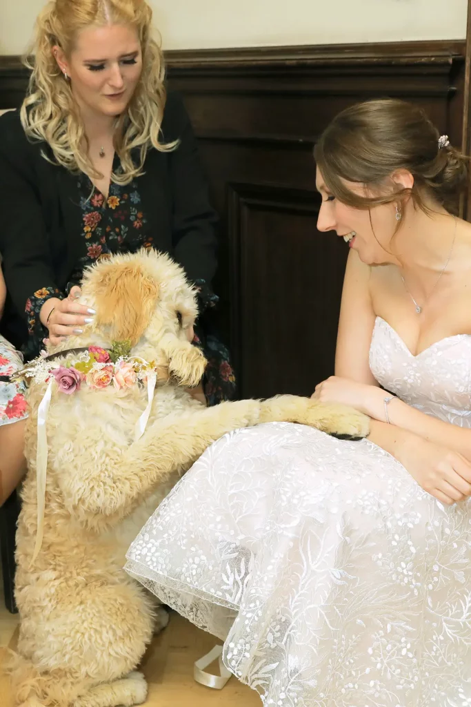 braut-mit-hund braut mit hund